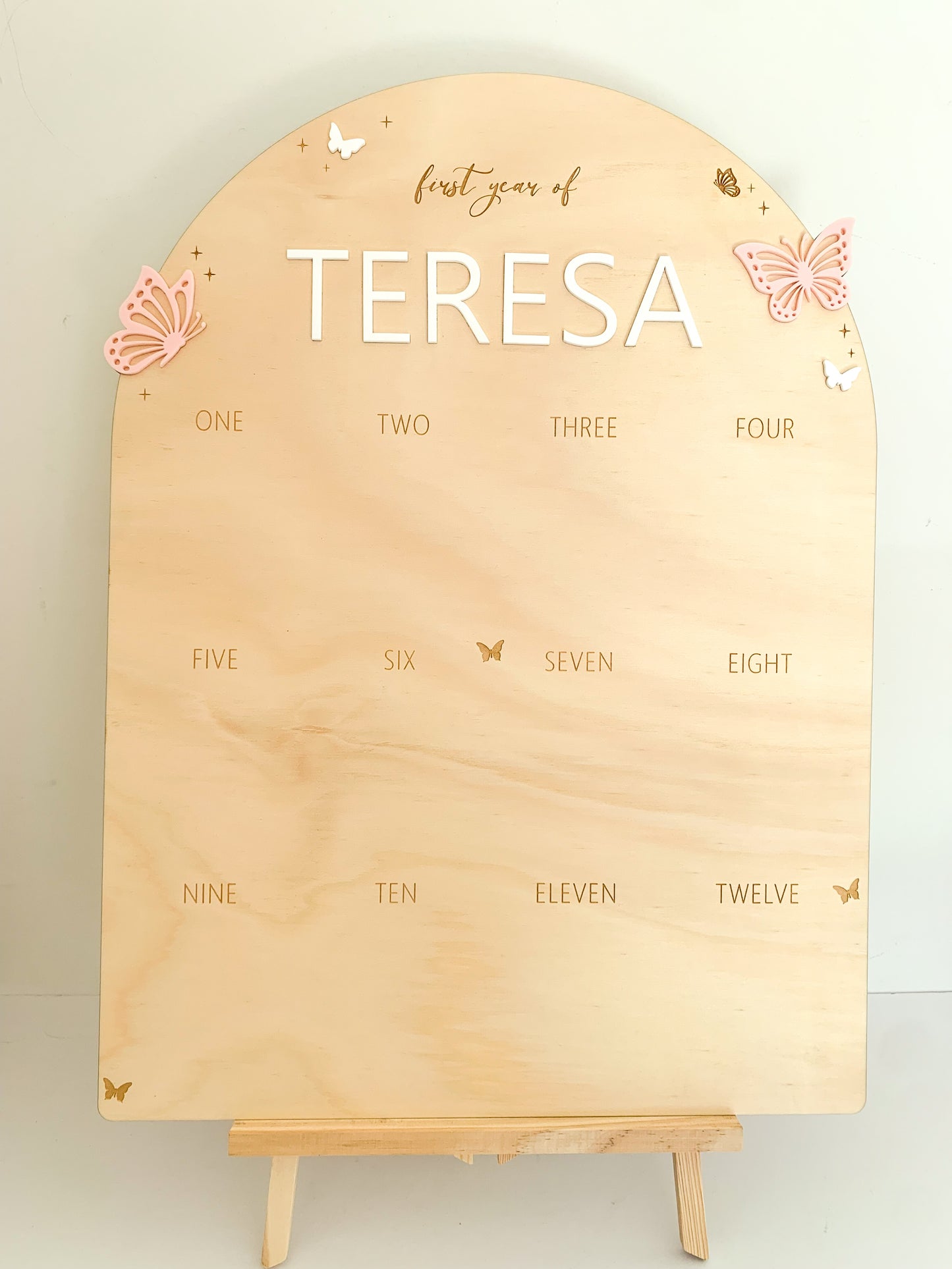 First year photo board - Butterfly theme