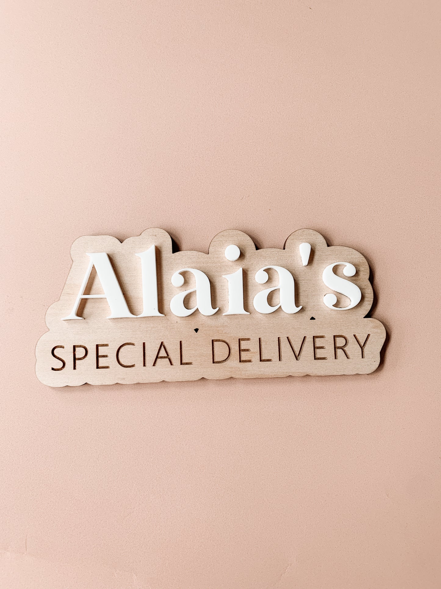 Interchangeable Christmas plaque only