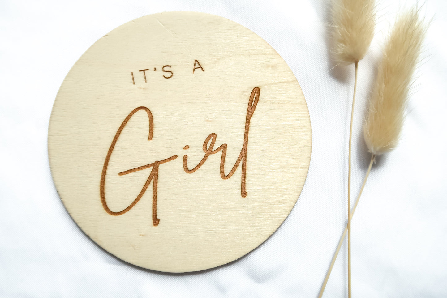 Gender reveal disc