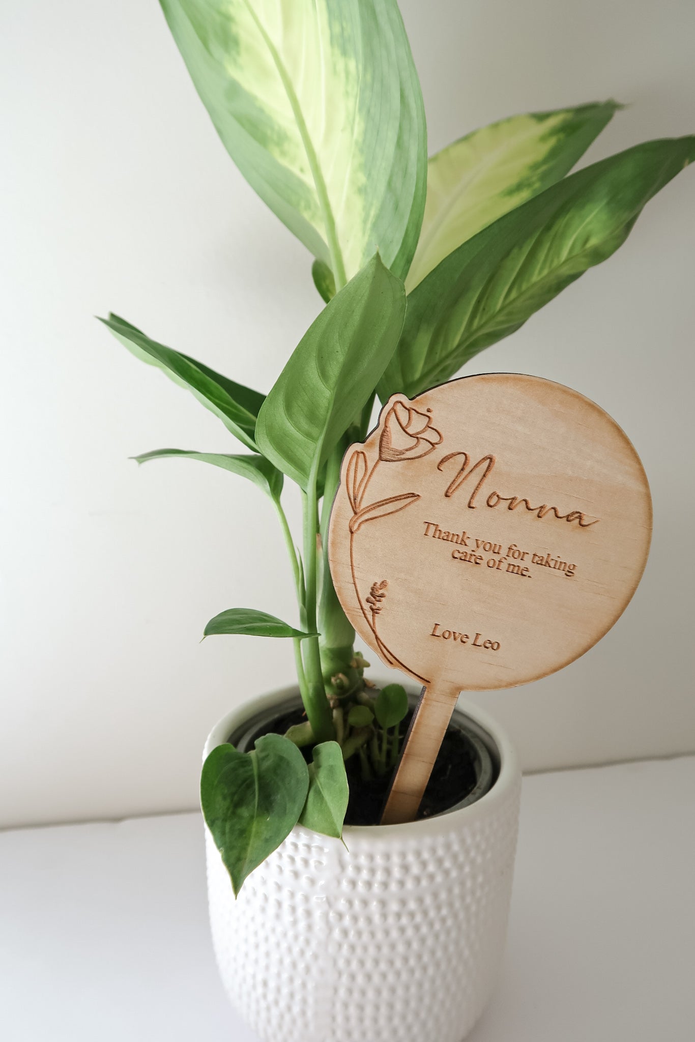 Plant Stake