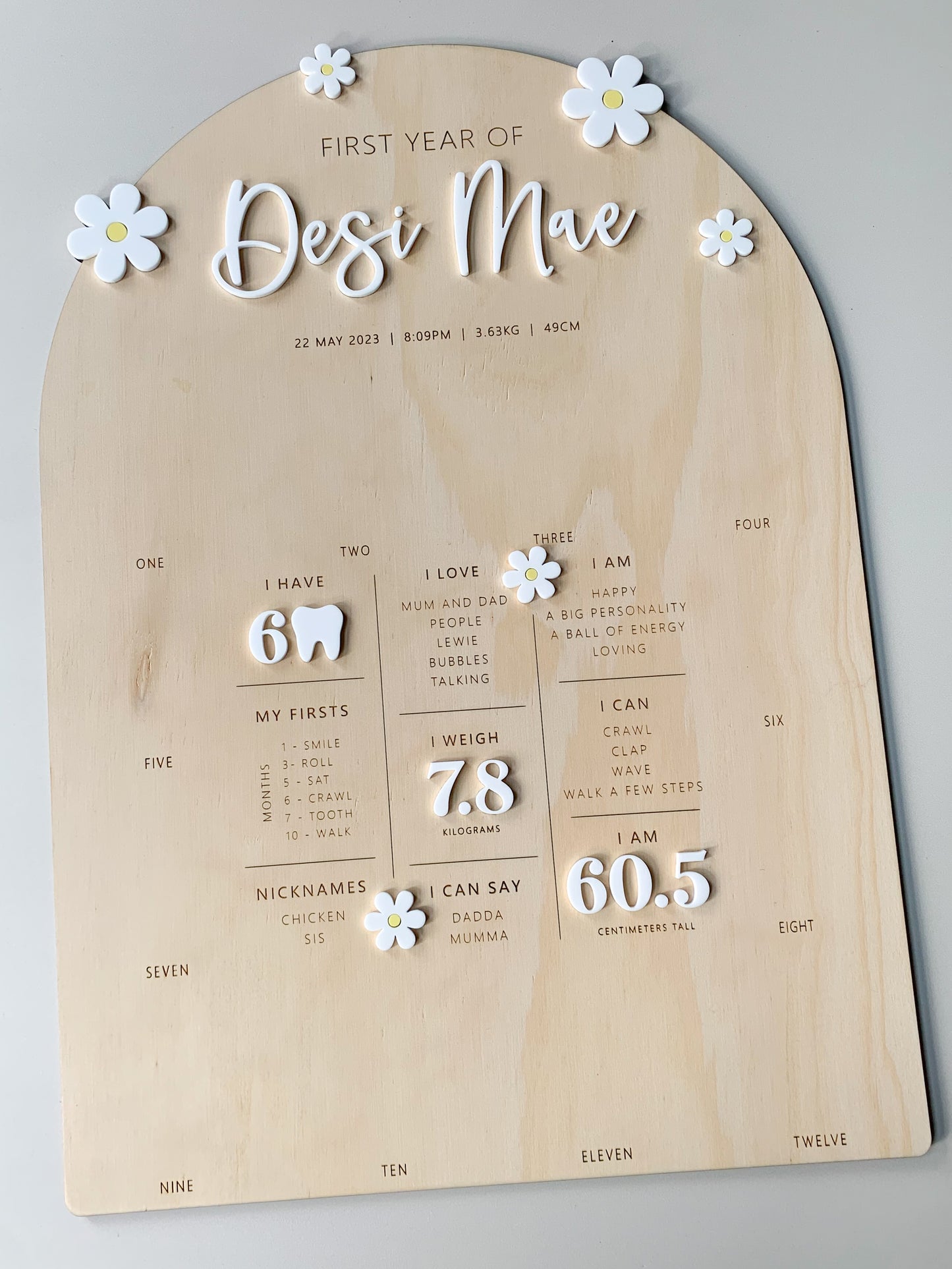 All-In-One Photo and Milestone board - Daisy Theme