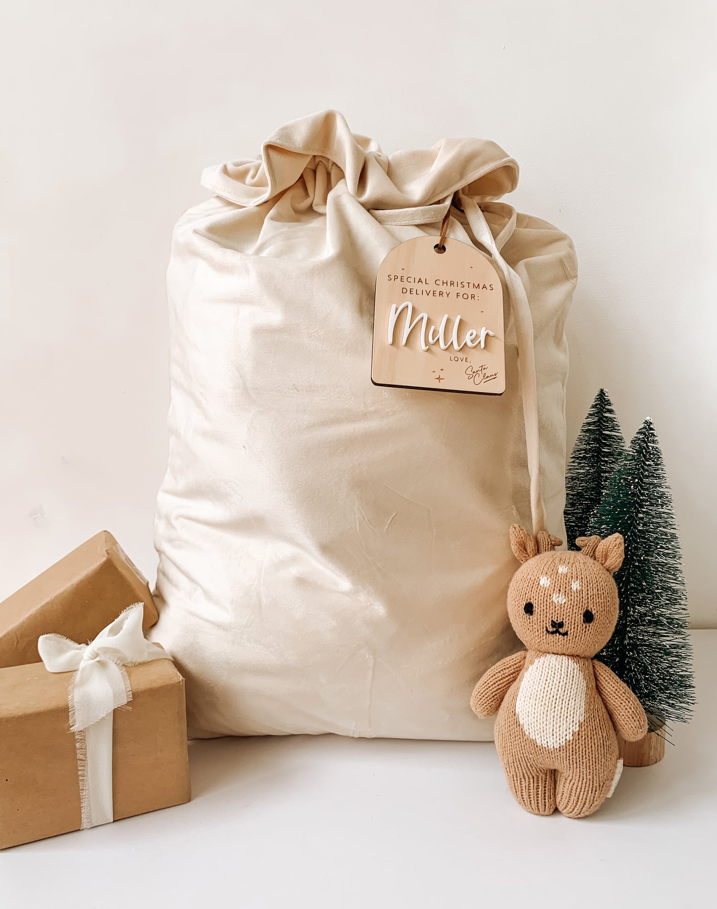 Velvet Christmas Sack