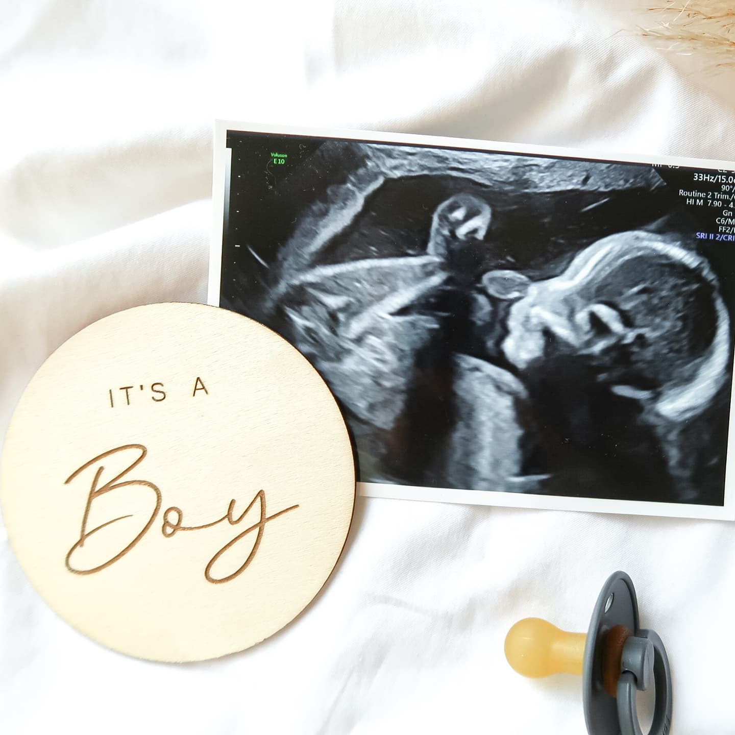Gender reveal disc